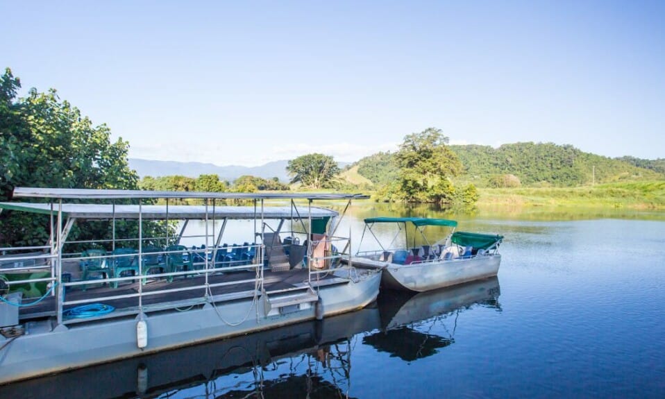 6 touroperators voor de ultieme Daintree River Cruise