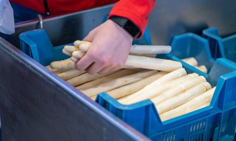 8 markten in Noord-Brabant die je niet mag missen
