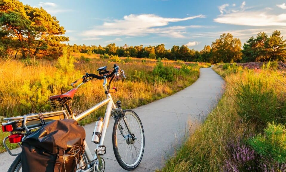 Actie en avontuur: Outdoor activiteiten in Gelderland