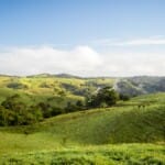 Atherton Tableland: 11 must-do’s dichtbij Cairns