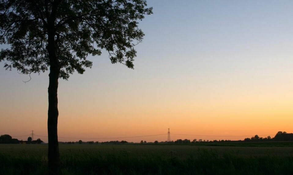 Avontuurlijke uitstapjes: Dagtrips vanuit de stad Groningen