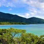 Cape Tribulation: 12 ongelooflijke dingen die je hier moet doen!