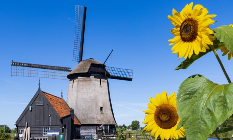 Culturele schatkamer: Kunst en cultuur in Noord-Holland