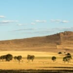 Darwin naar Adelaide: roadtrip Australische outback