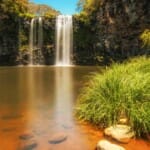 De ultieme 15-reizengids voor Dorrigo National Park, Australië