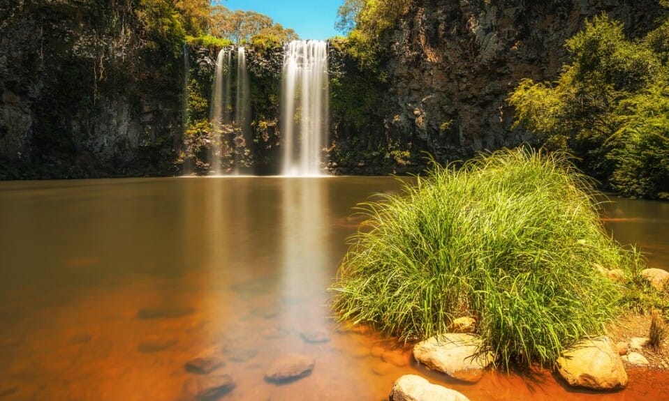 De ultieme 15-reizengids voor Dorrigo National Park, Australië