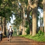 De 2 bekendste fietsroutes door Flevoland