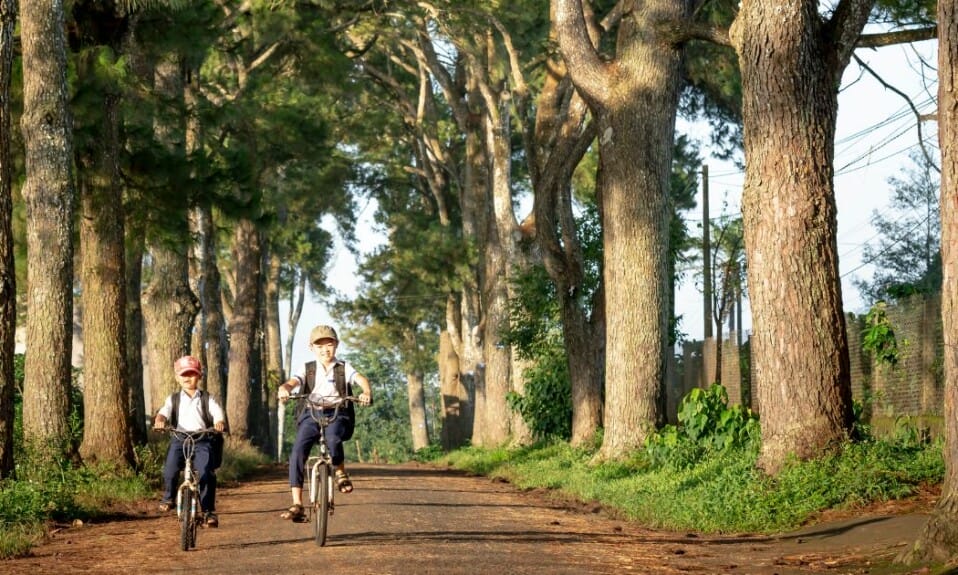 De 2 bekendste fietsroutes door Flevoland