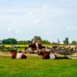 In de voetsporen van onze voorouders: Prehistorische locaties in Drenthe
