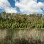 K'gari (Fraser Island): 10 dingen die je nog niet wist