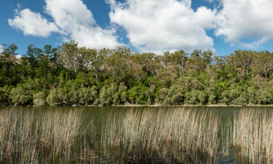 K'gari (Fraser Island): 10 dingen die je nog niet wist