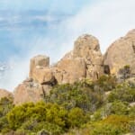 Mount Wellington: wandelen en fietsen in 2024