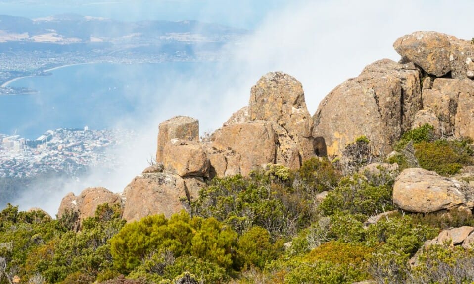 Mount Wellington: wandelen en fietsen in 2024