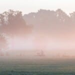 Natuuravontuur: Wandelen en fietsen in Gelderland