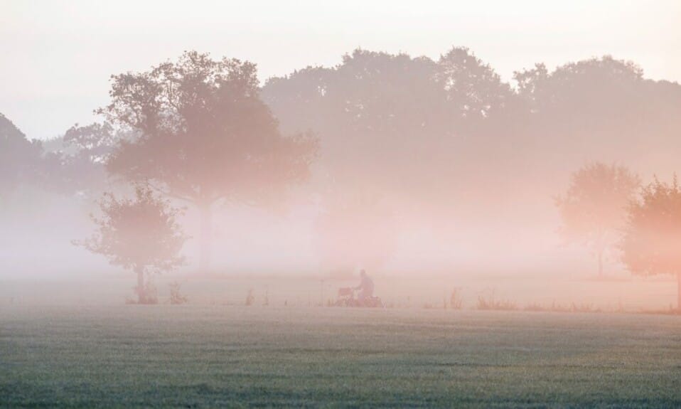 Natuuravontuur: Wandelen en fietsen in Gelderland