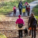 Natuurlijk avontuur: Verken de wandelpaden van Overijssel