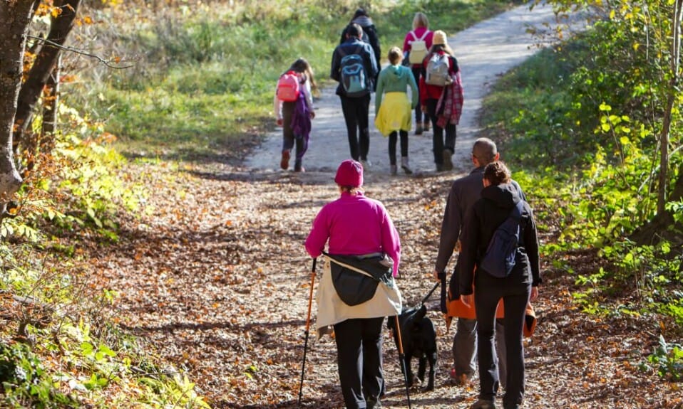 Natuurlijk avontuur: Verken de wandelpaden van Overijssel