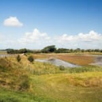 Natuurlijke pracht: Verken de natuurreservaten van Zeeland