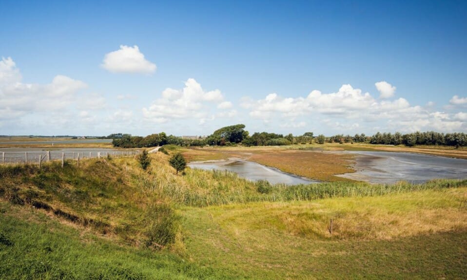 Natuurlijke pracht: Verken de natuurreservaten van Zeeland