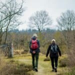 Natuurlijke schatten: Parken en reservaten in Drenthe