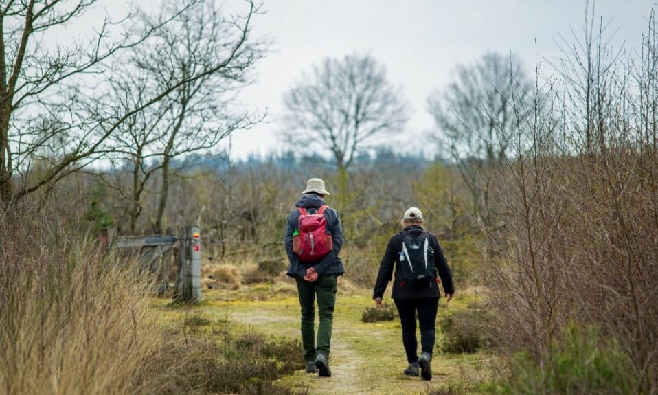 Natuurlijke schatten: Parken en reservaten in Drenthe