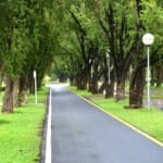 Wij hebben de 5 fietsroutes in Overijssel door natuurgebieden
