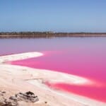 Roze meer Australië: alles over dit natuurfenomeen
