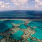 Great Barrier Reef bedreigd door opwarming aarde