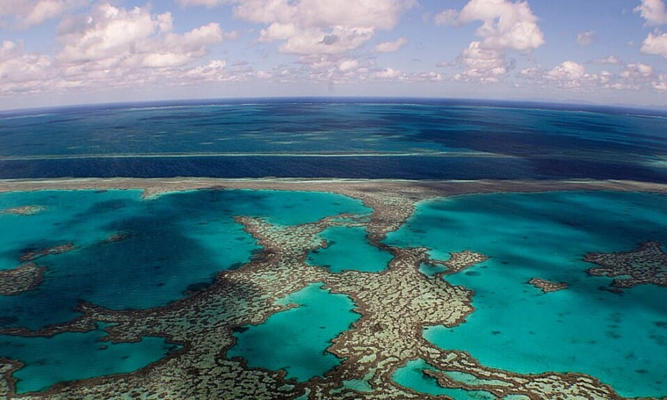 Great Barrier Reef bedreigd door opwarming aarde