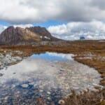 Wandelen door de Parken van Tasmanië