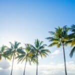 Cairns handleiding 2024: de bloeiende tropische stad