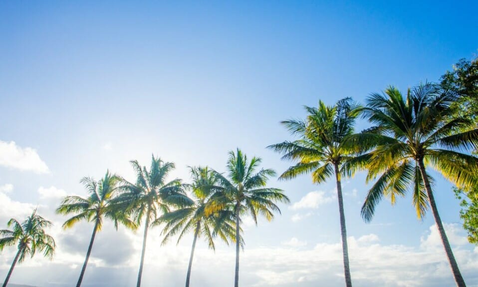 Cairns handleiding 2024: de bloeiende tropische stad
